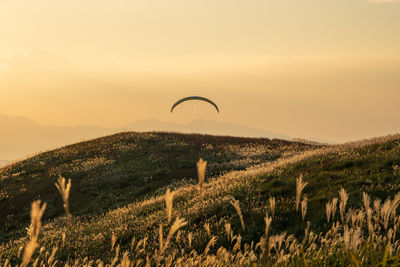Scenic view of field against sky during sunset