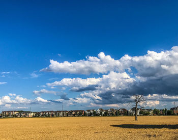 Scenic view of field against sky