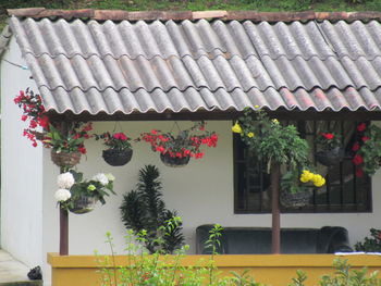 High angle view of potted plants on building