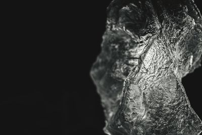 Close-up of lizard against black background