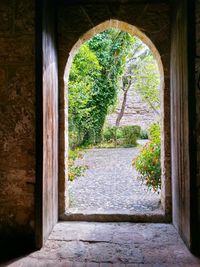 Trees seen through archway