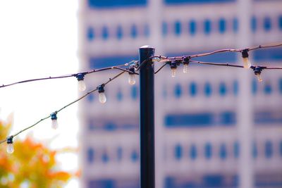 Close-up of clothespins hanging on fence against sky