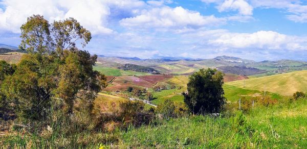 Scenic view of landscape against sky