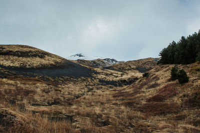 Etna volcano landscape