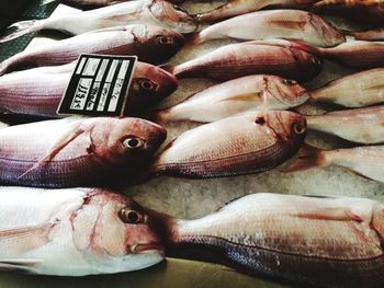 Close-up of fish for sale in market