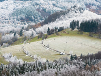 Tollenstein castle ruins on hill covered with hoarfrost. beautiful mountain landscape in autumn.