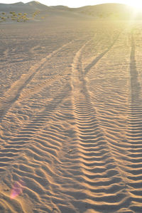 Tire tracks in sand dunes at imperial sand dunes recreational area, california