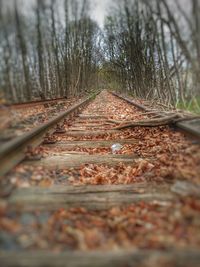 Surface level of railroad track