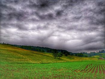 Scenic view of agricultural field against sky