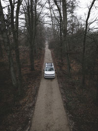 Car on road amidst bare trees in forest