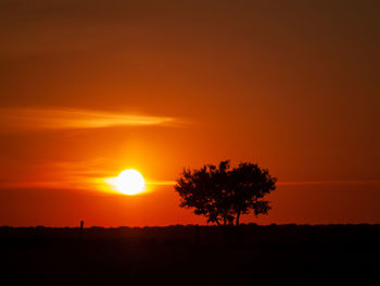 Silhouette trees on field against romantic sky at sunset