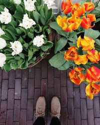 Low section of person standing by flowering plants