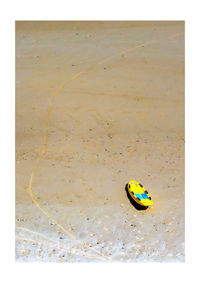 Close-up of yellow leaf on sand