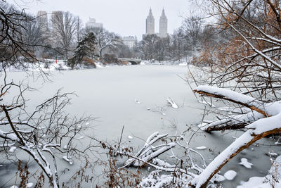 Snow covered bare trees and buildings against sky