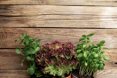 High angle view of vegetables on table