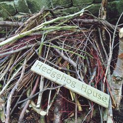 Close-up of text on wall