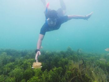 Swimming with jellyfish kakaban island