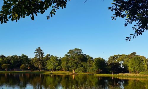 Scenic view of lake against clear sky