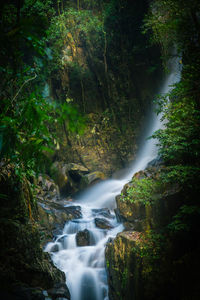 View of waterfall in forest