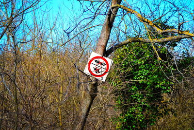 Low angle view of road sign in forest