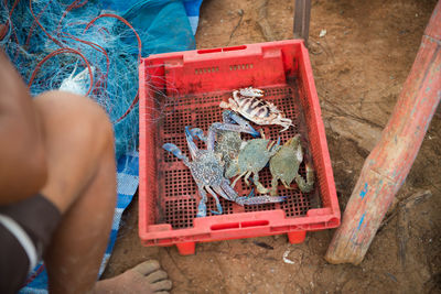 Close-up high angle view of fisherman sitting by crabs in crate