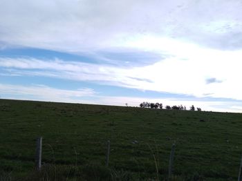Scenic view of field against sky