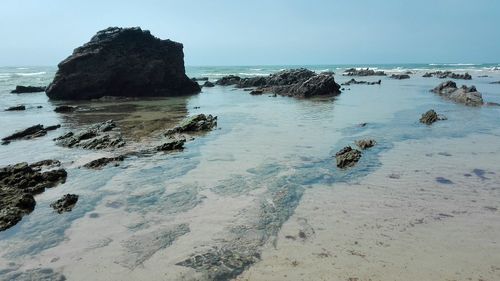 Scenic view of sea against clear sky
