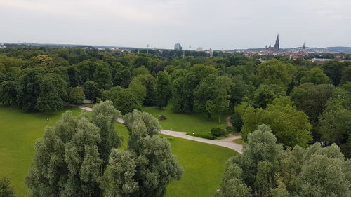 Panoramic view of trees in city against sky