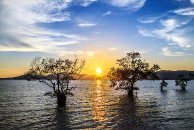 Scenic view of sea against sky during sunset