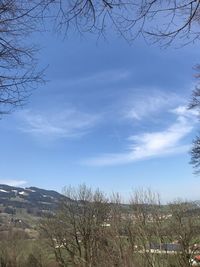 Bare trees on landscape against sky