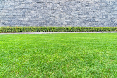 Plants on field against stone wall