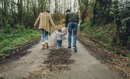 Back view of family walking in forest in autumn