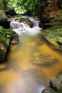 River flowing through rocks