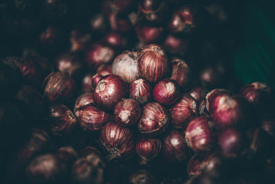 Close-up of blueberries