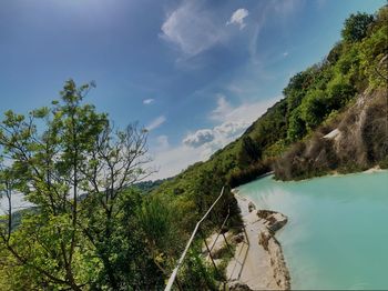 Scenic view of river amidst trees against sky