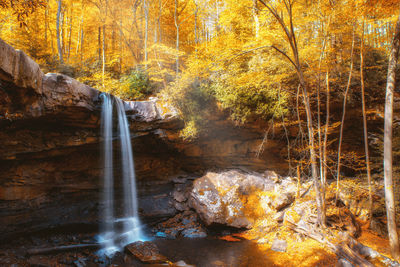 Waterfall in forest