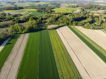 Scenic view of agricultural field