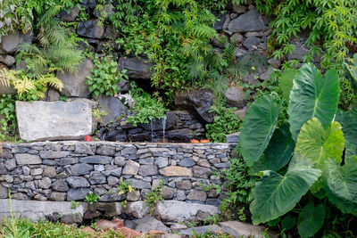 Stone wall in yard