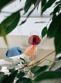 Close-up of man holding beer glass