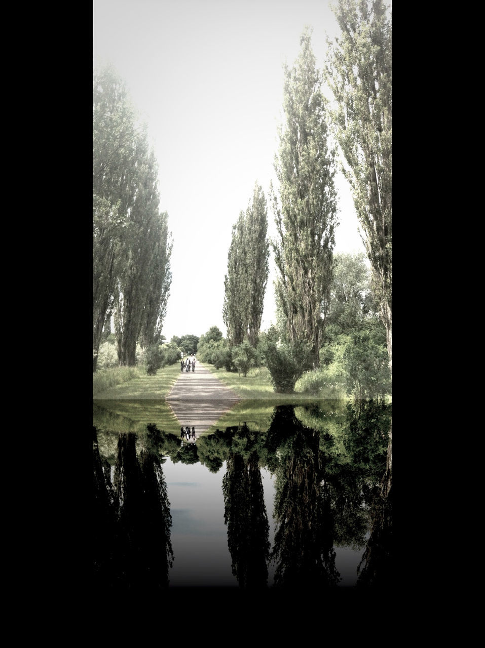 tree, water, tranquility, tranquil scene, growth, nature, clear sky, reflection, beauty in nature, scenics, sky, lake, pond, day, plant, landscape, park - man made space, silhouette, no people, sunlight