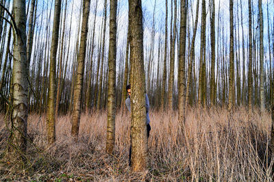 Man hiding behind tree at forest