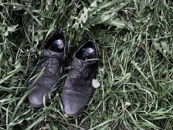 High angle view of shoes on plants in field