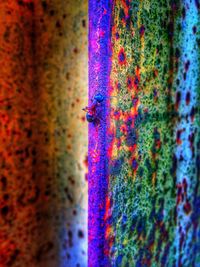 Full frame shot of colorful wall