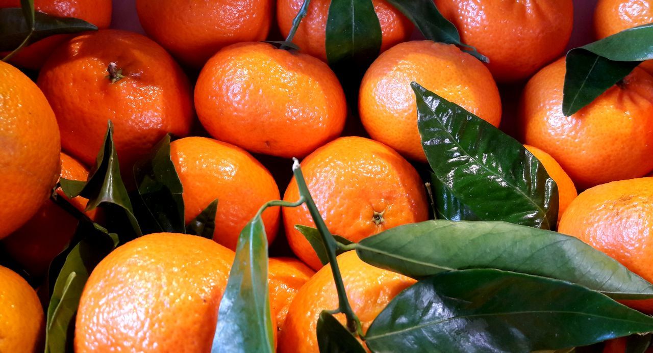 orange color, orange - fruit, fruit, freshness, healthy eating, leaf, food and drink, food, backgrounds, citrus fruit, abundance, large group of objects, no people, full frame, close-up, outdoors, day, nature