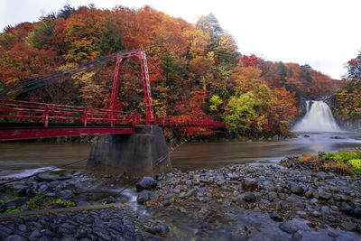 Scenic view of river in forest during autumn