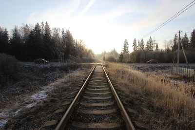 Railroad tracks amidst trees against sky