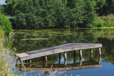 Scenic view of lake in forest