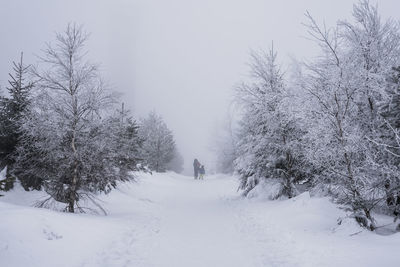 Trees on snow covered landscape against clear sky