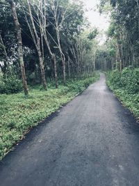 Empty road amidst trees in forest