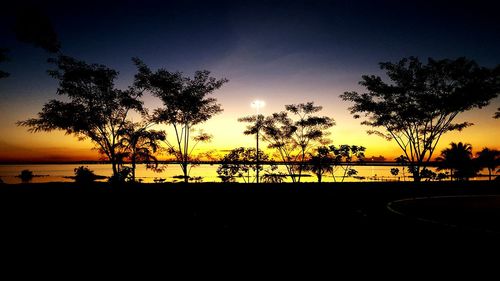 Silhouette of trees at sunset